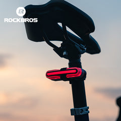 ROCKBROS Bike Tail Light with Turn Signals